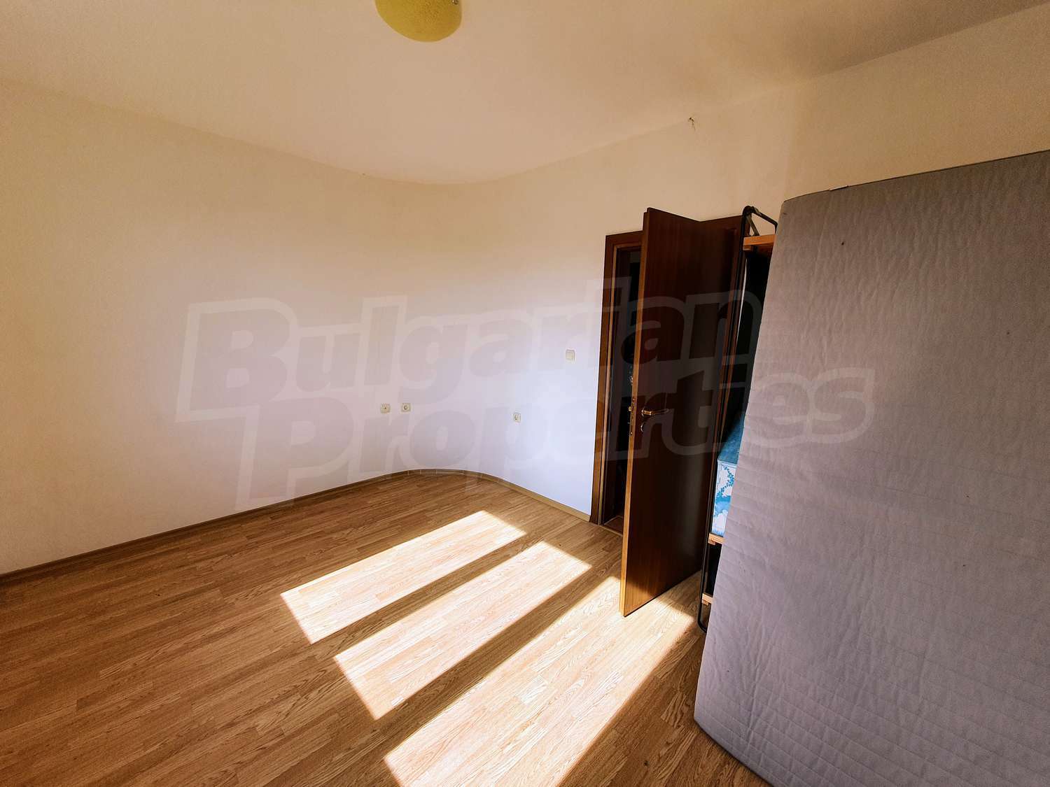Gallery Picture 14