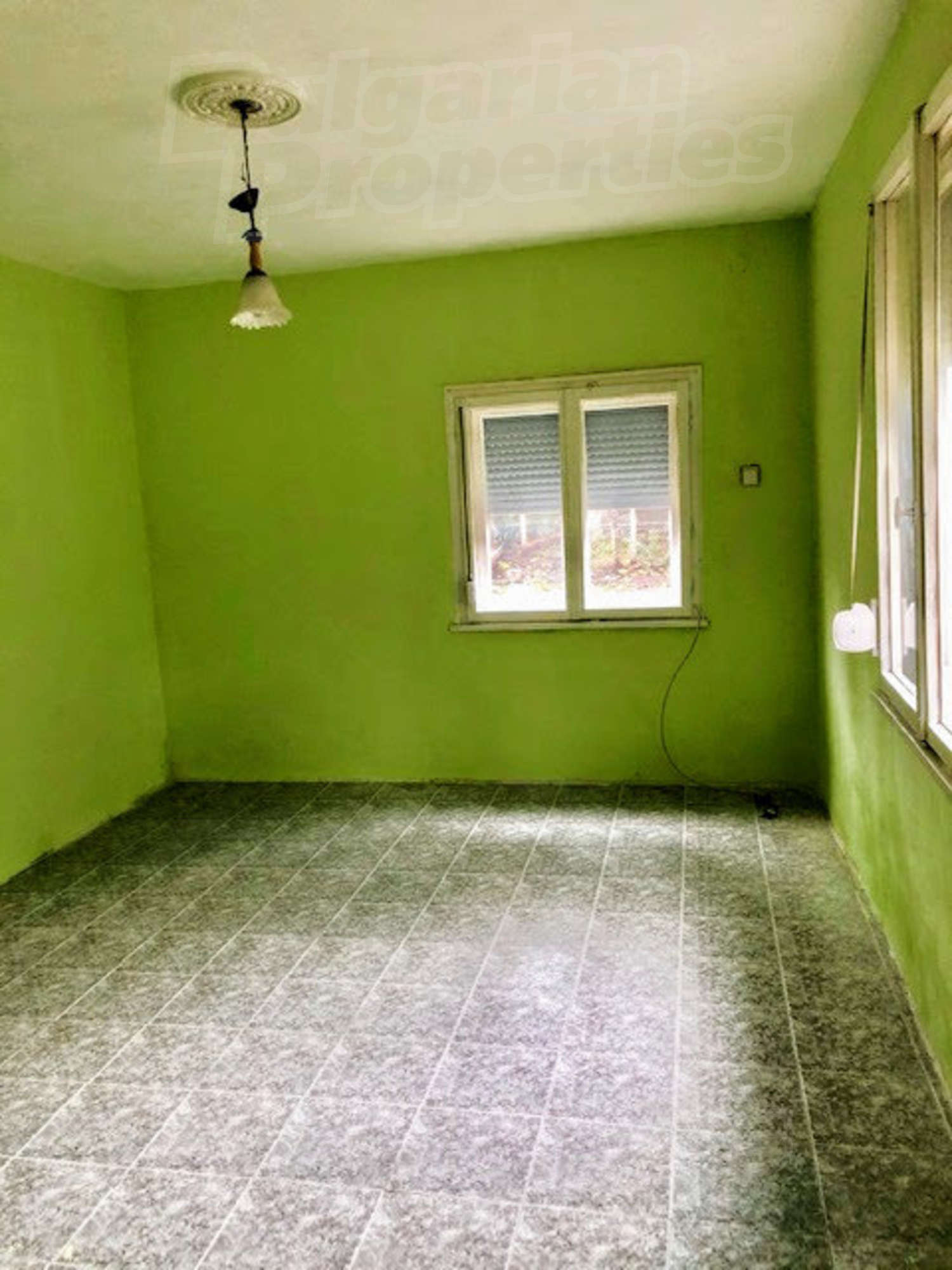 Gallery Picture 18