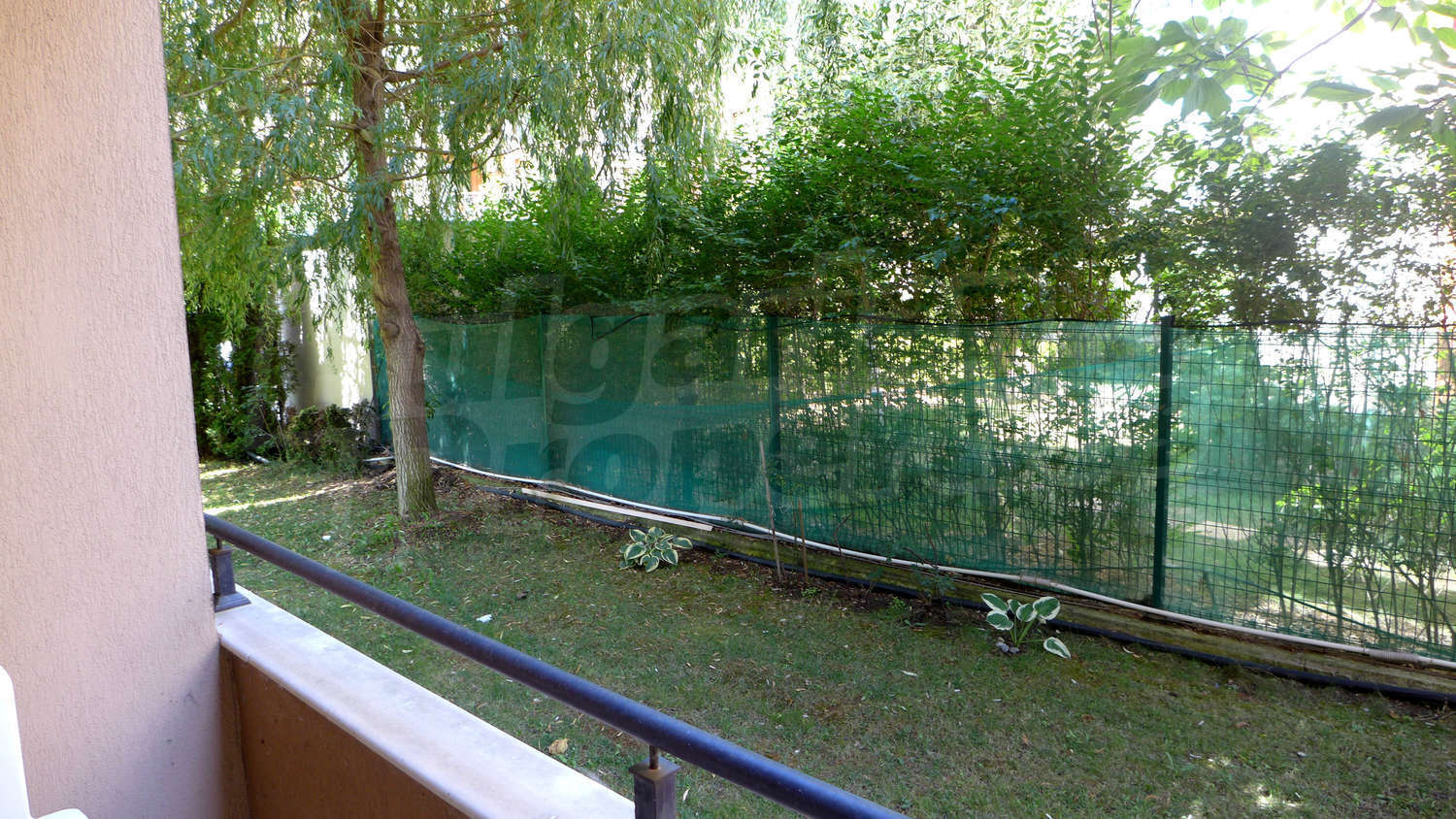 Gallery Picture 13