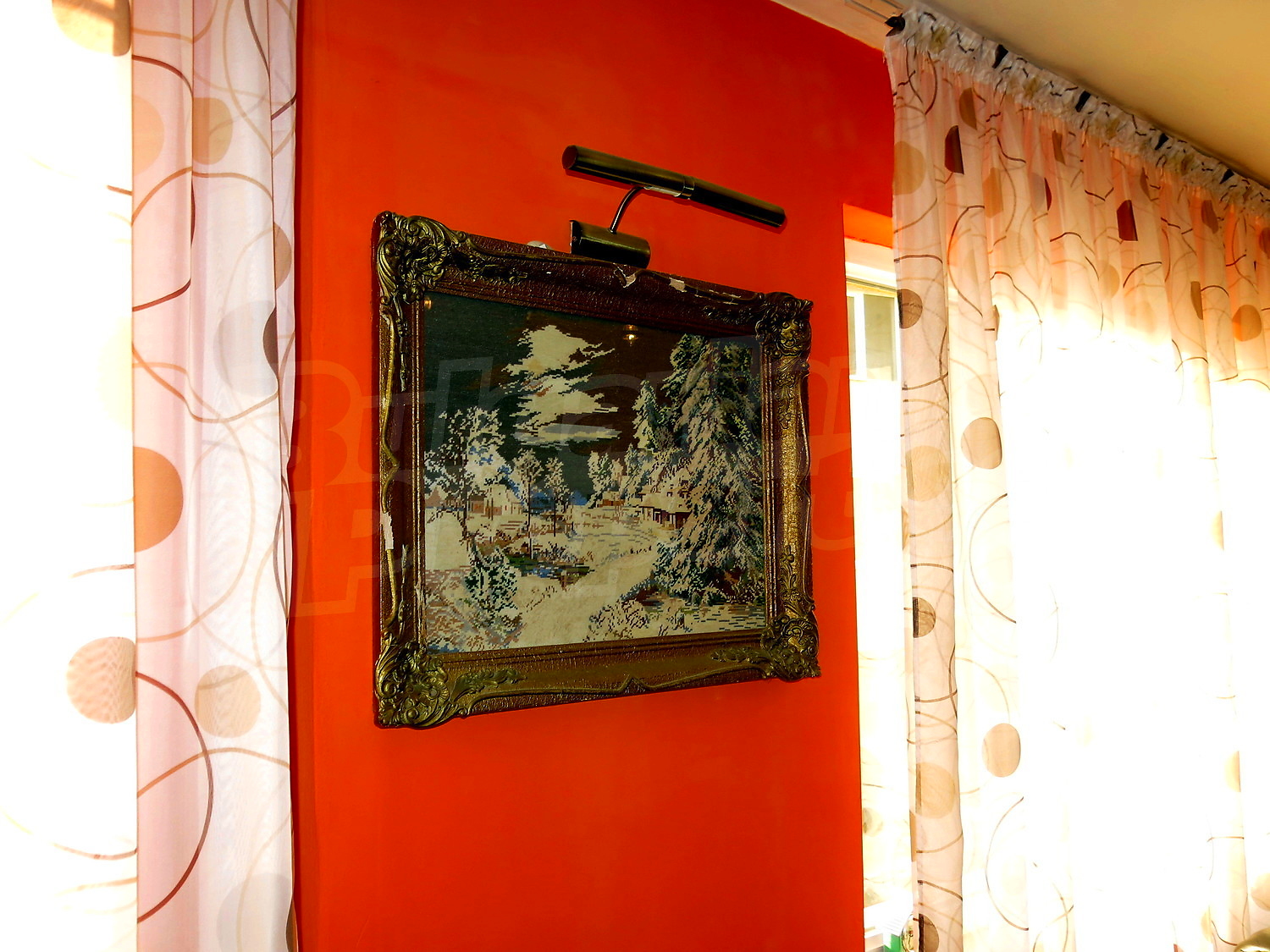 Gallery Picture 7