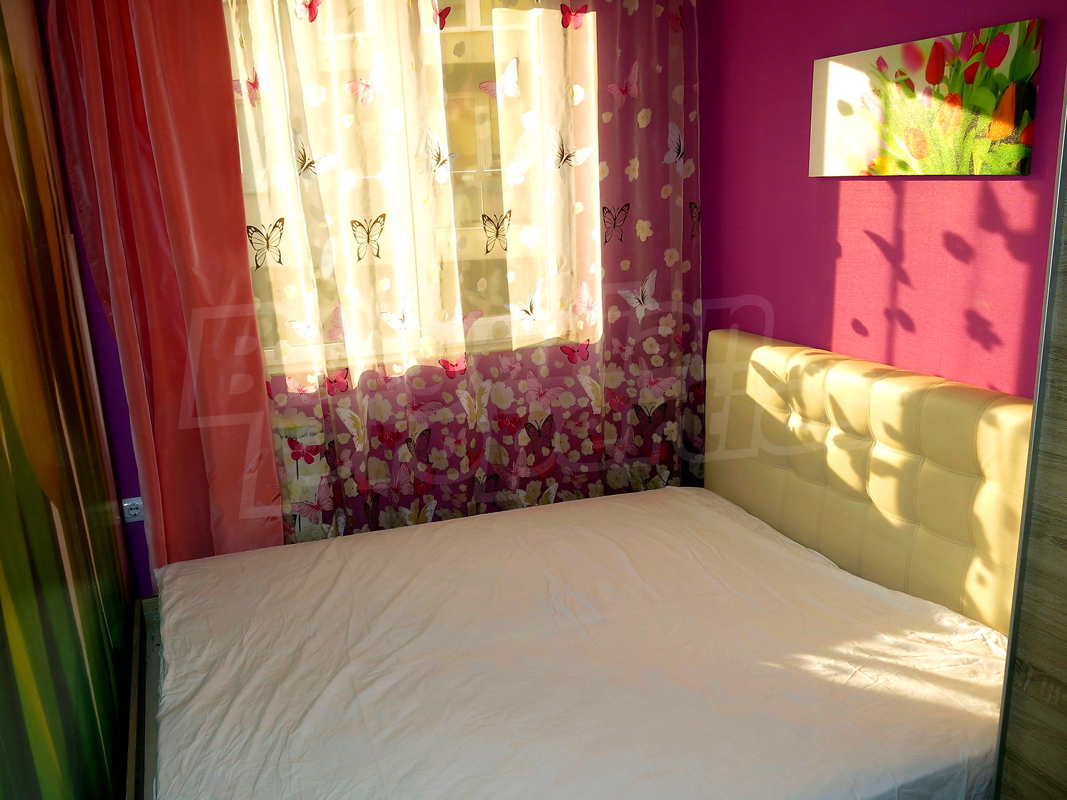 Gallery Picture 9