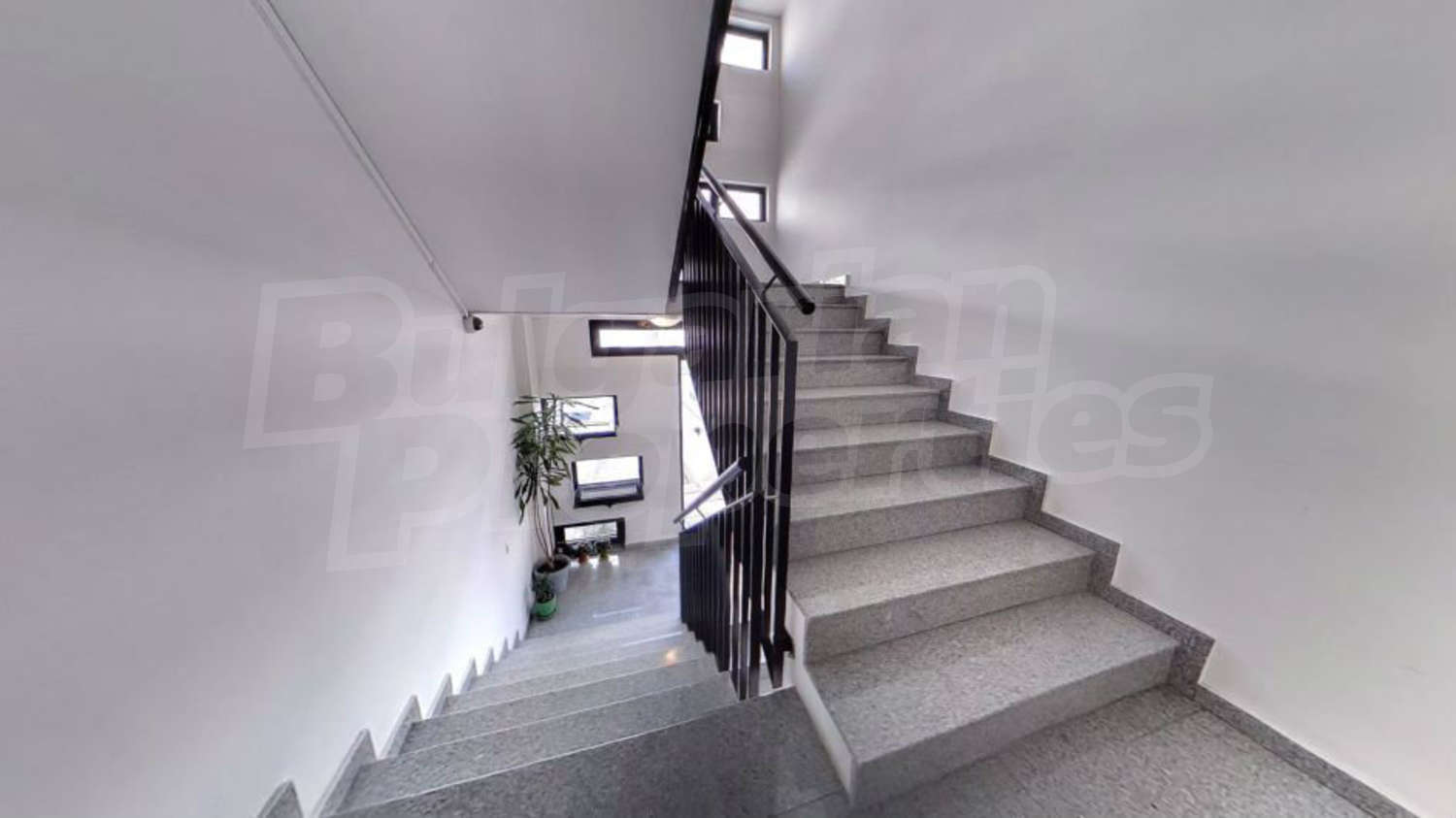 Gallery Picture 35