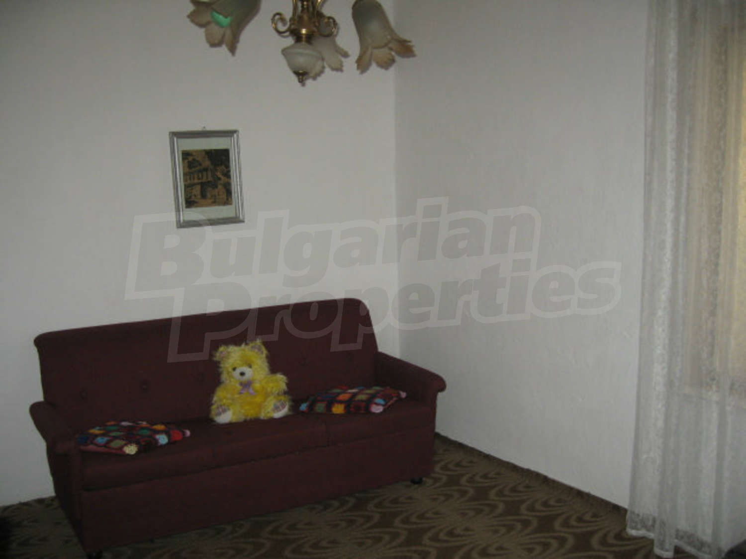 Gallery Picture 11