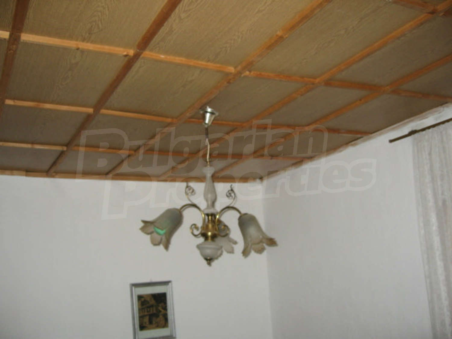 Gallery Picture 12