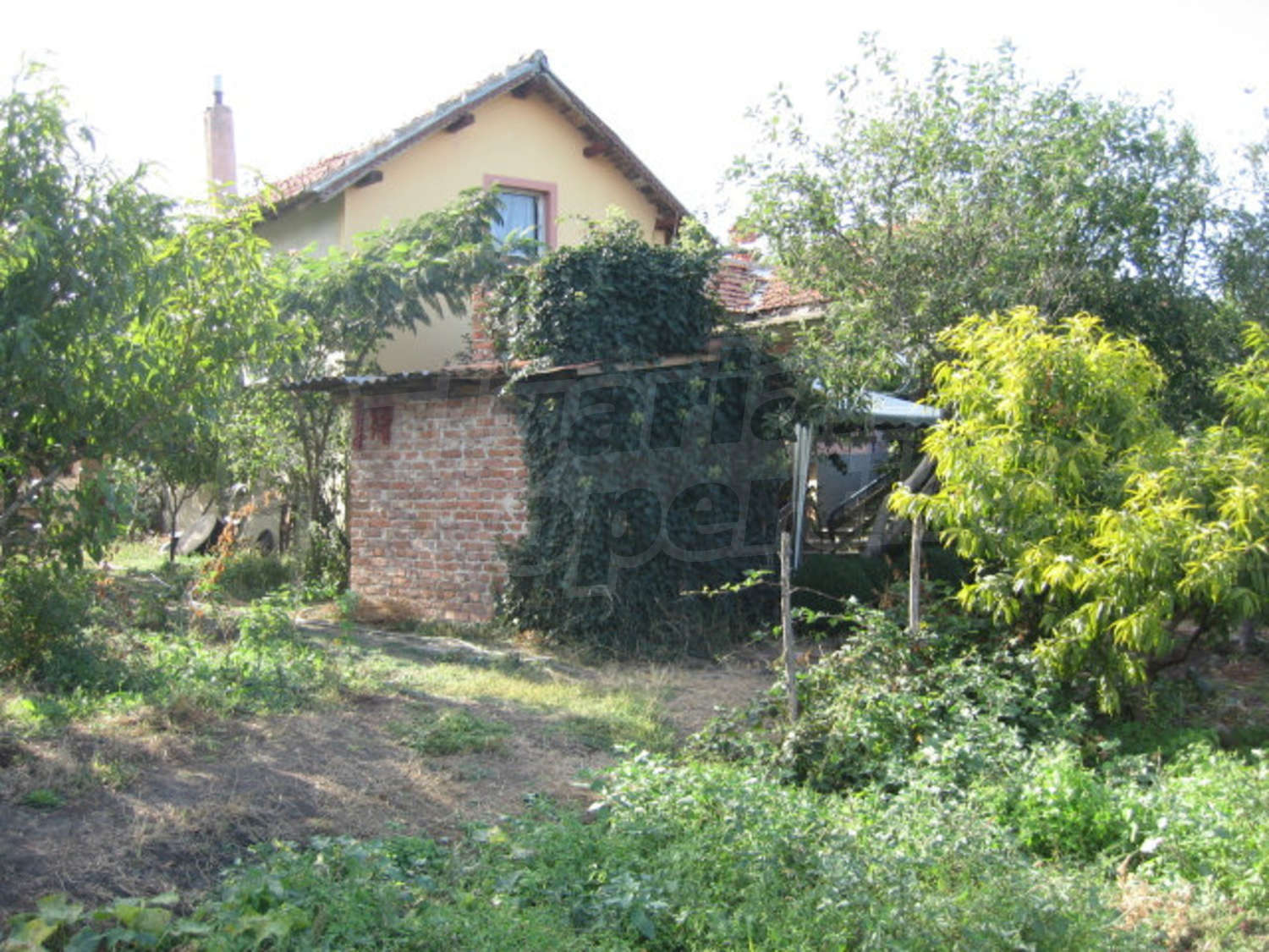 Gallery Picture 21