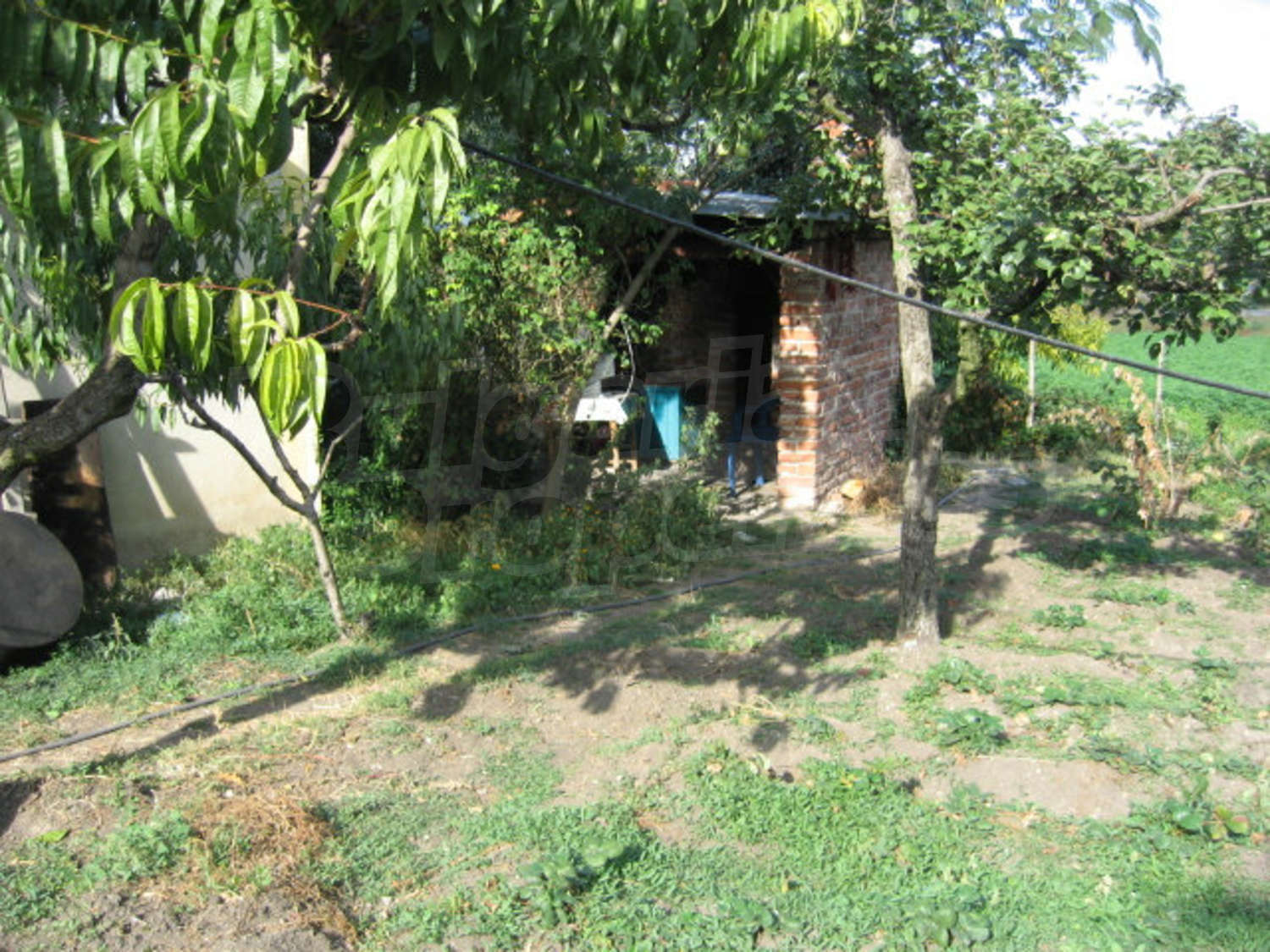 Gallery Picture 23
