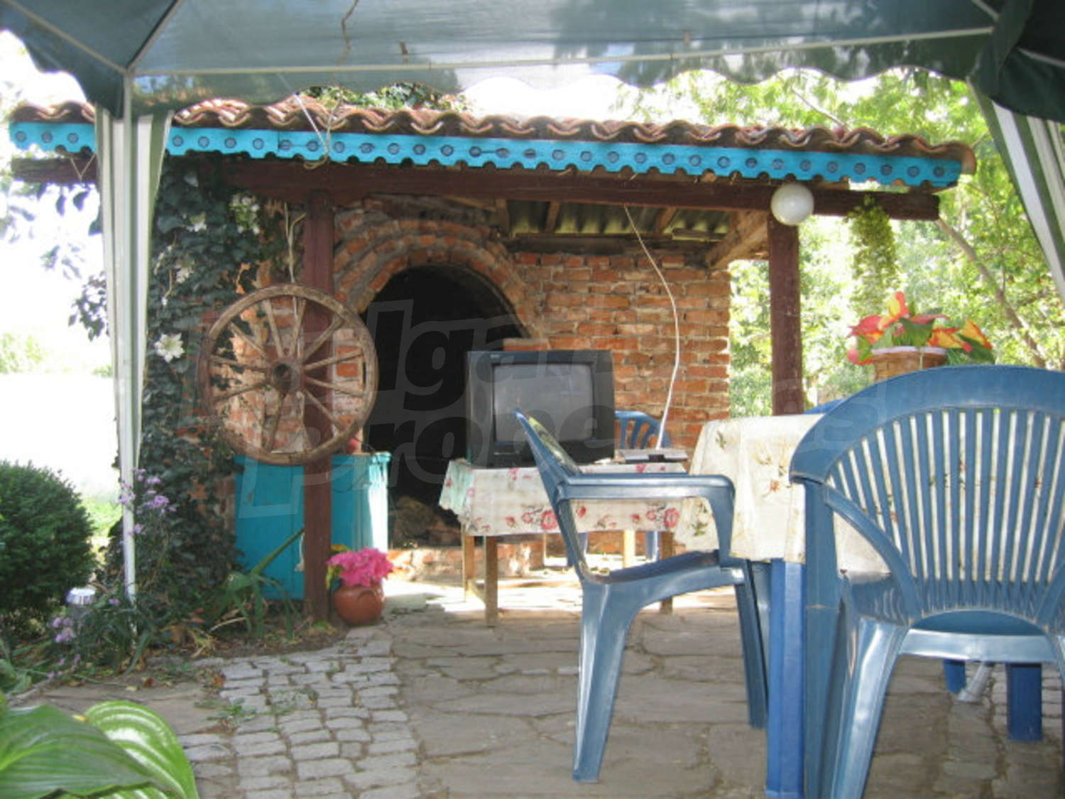 Gallery Picture 26
