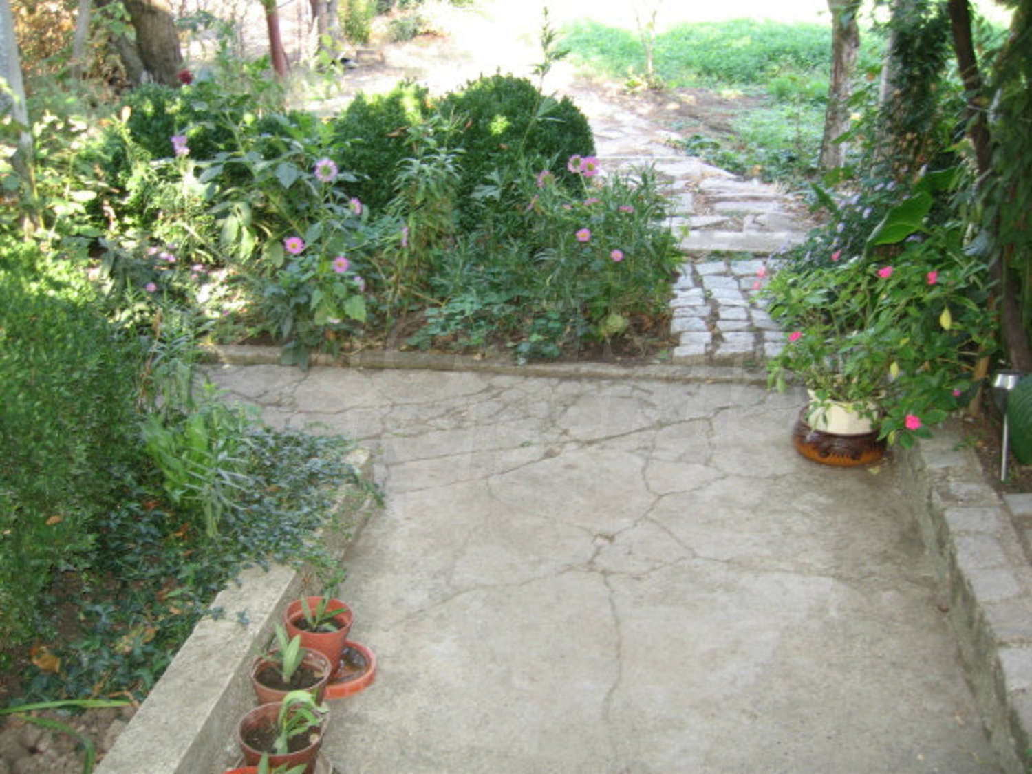 Gallery Picture 27