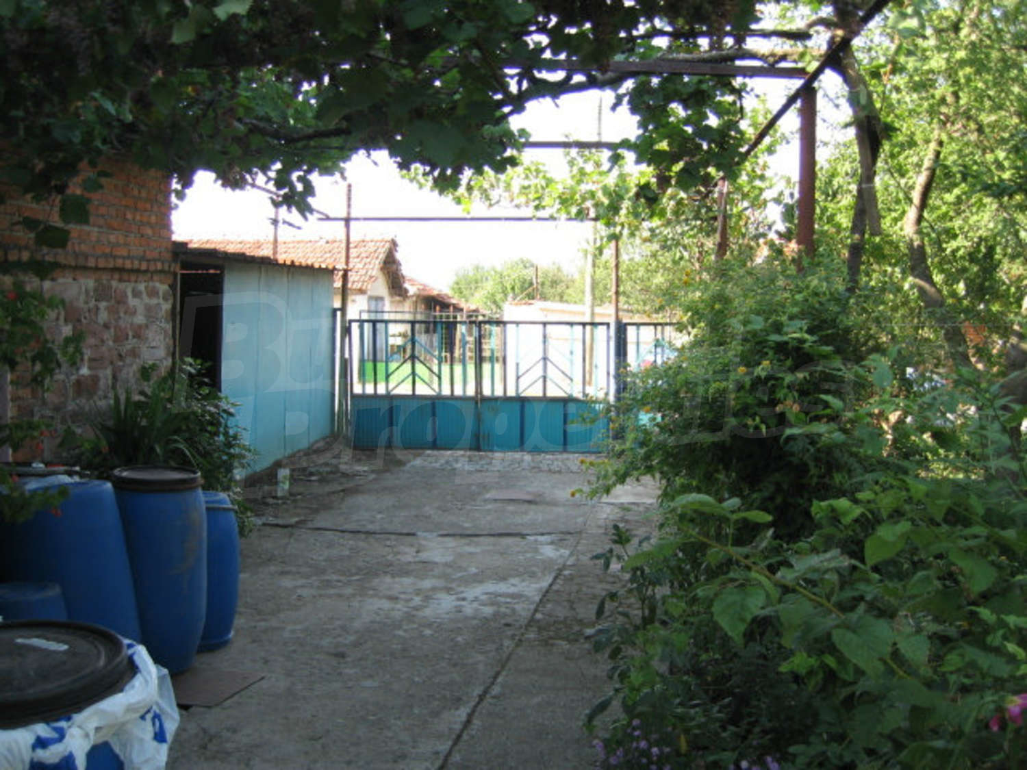 Gallery Picture 28