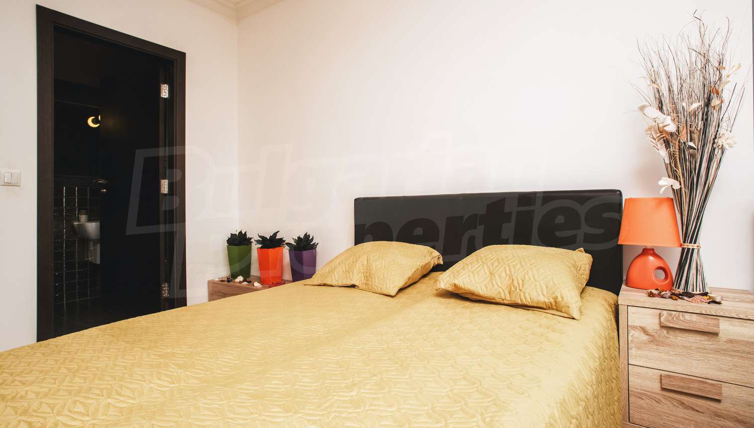 Gallery Picture 27
