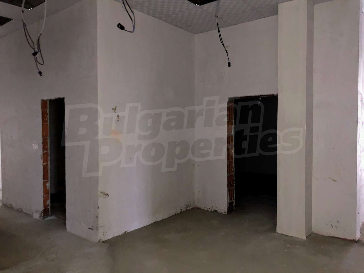 Gallery Picture 12