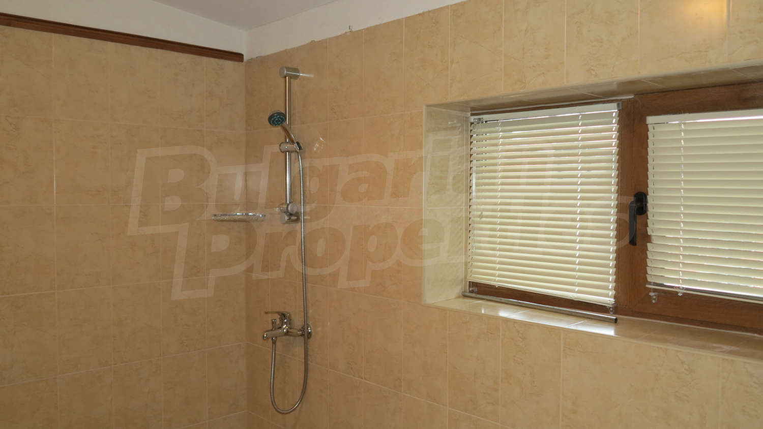 Gallery Picture 23