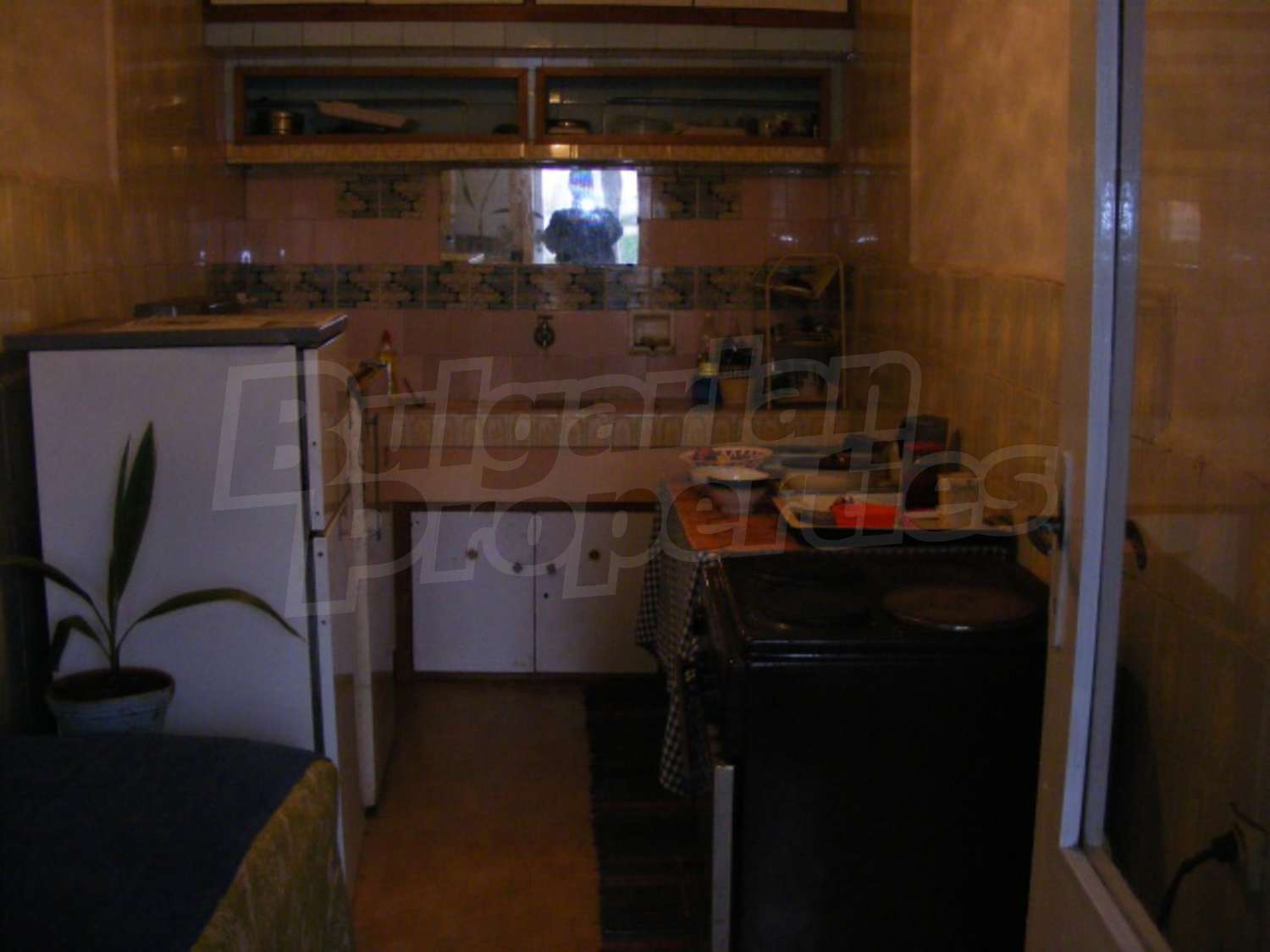 Gallery Picture 14