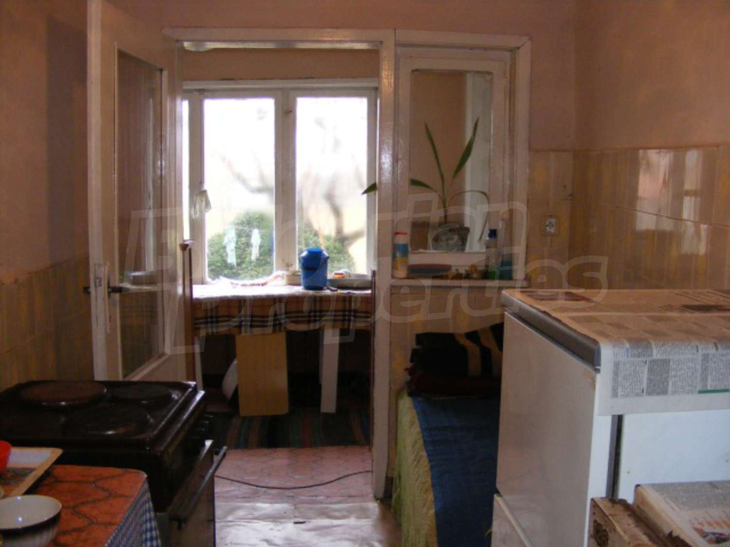 Gallery Picture 15