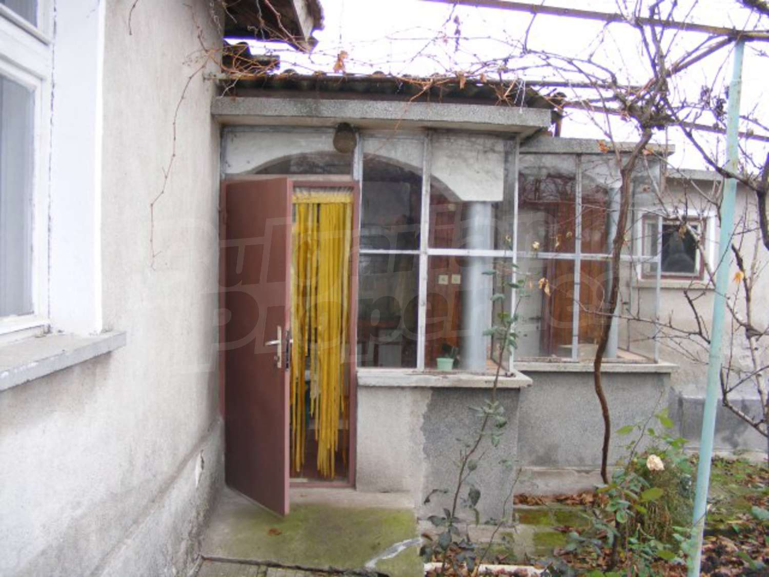 Gallery Picture 19
