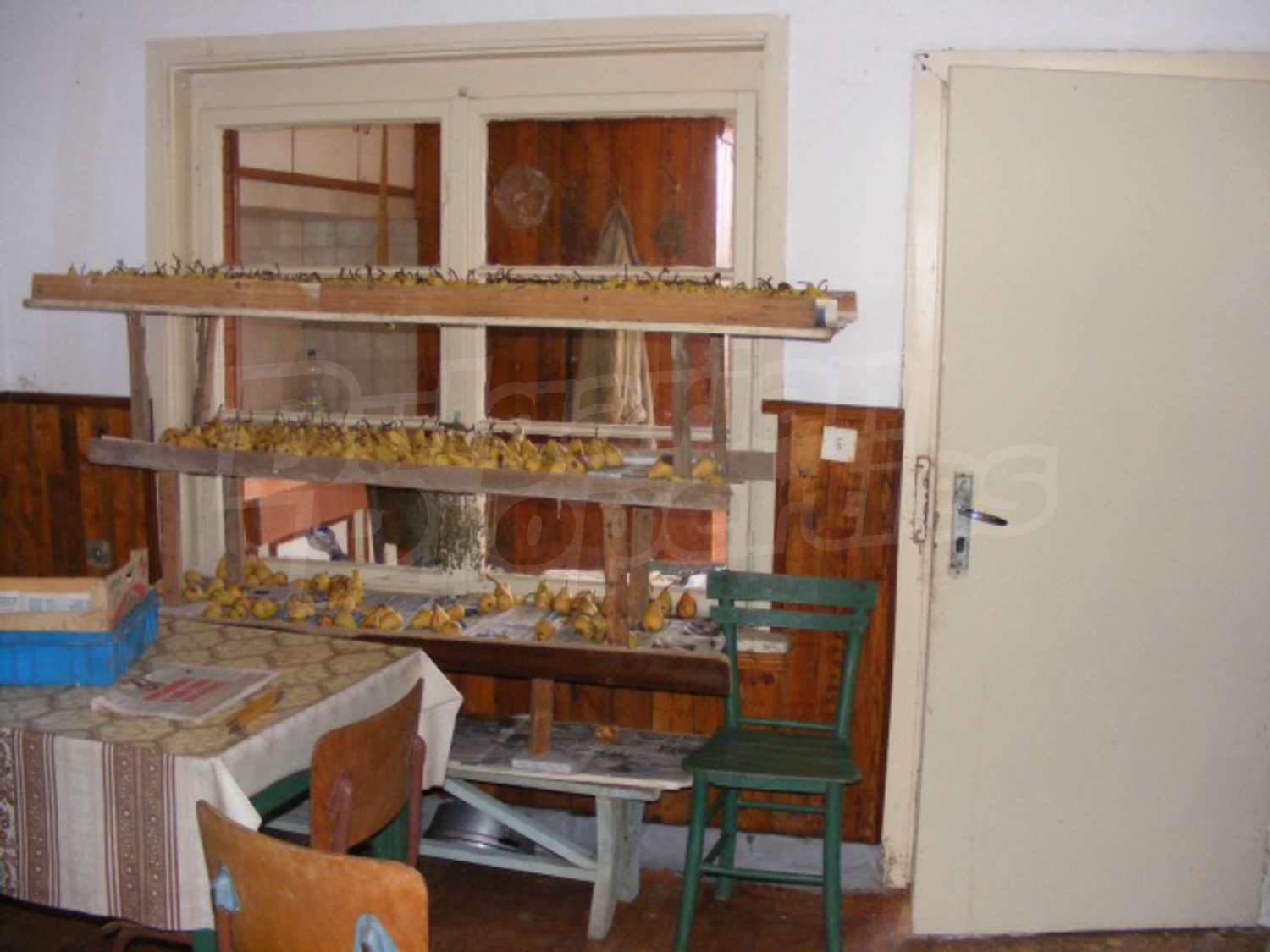 Gallery Picture 23