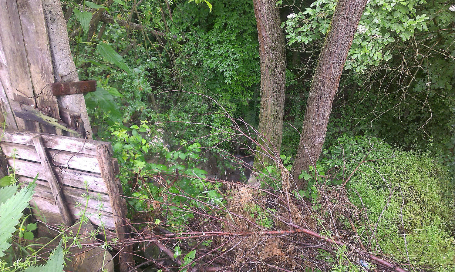Gallery Picture 66
