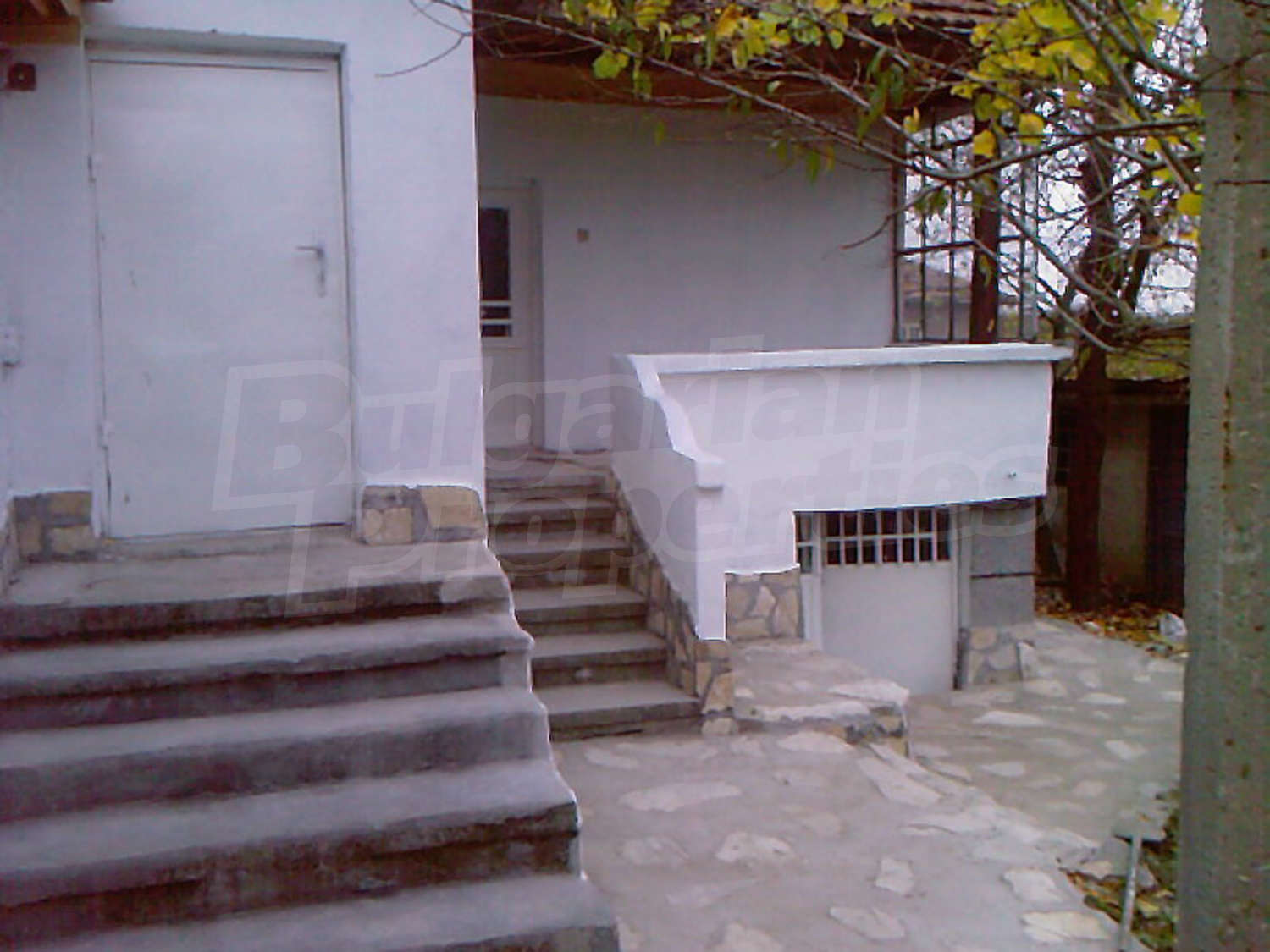 Gallery Picture 6