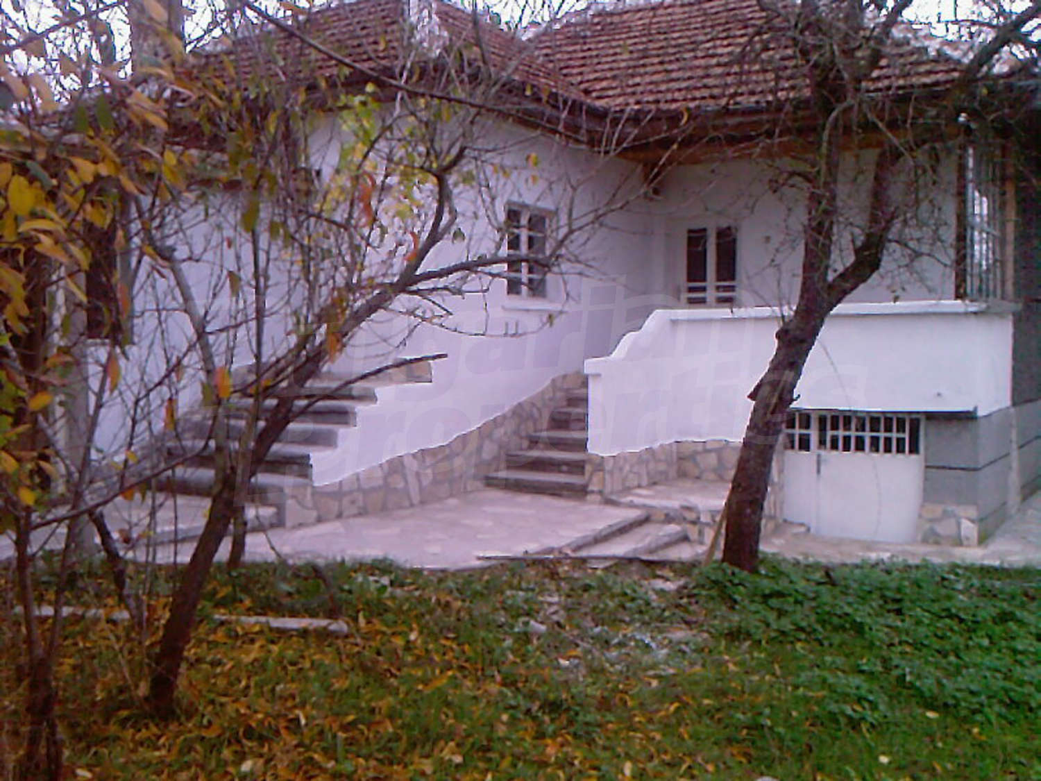 Gallery Picture 7
