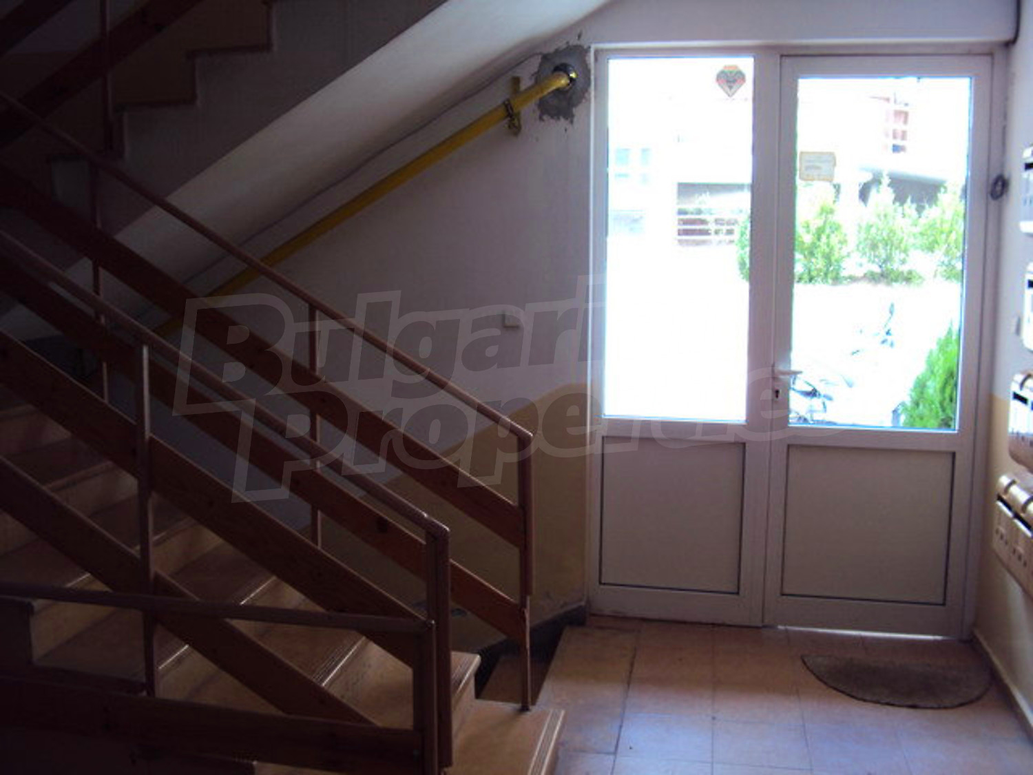 Gallery Picture 10