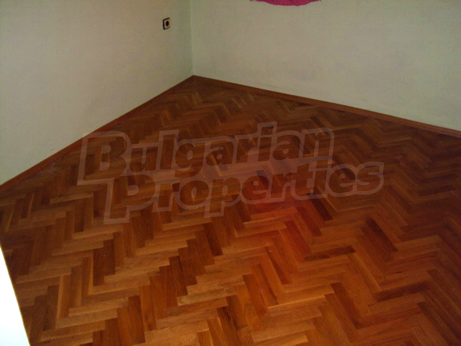 Gallery Picture 19