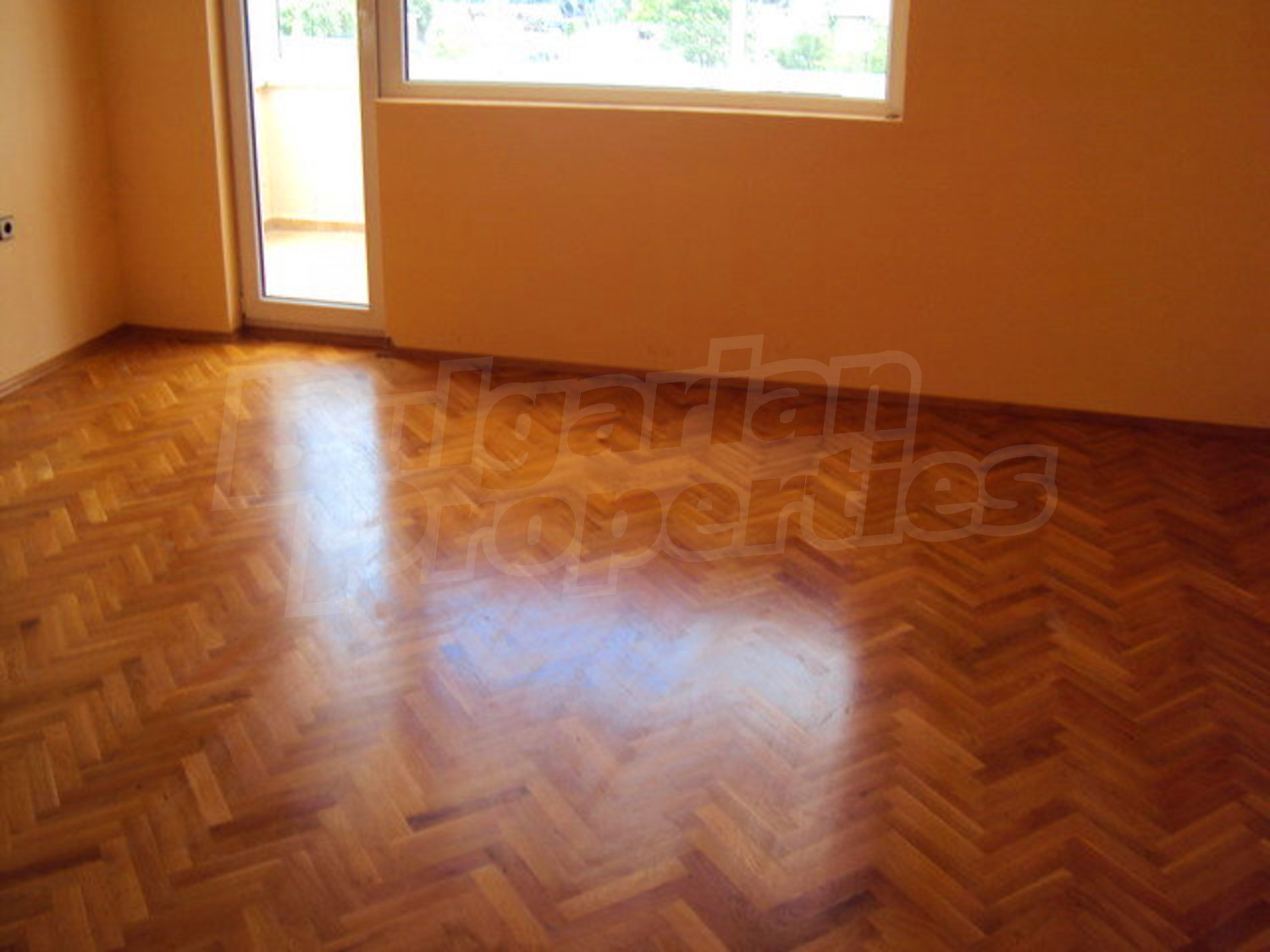 Gallery Picture 25