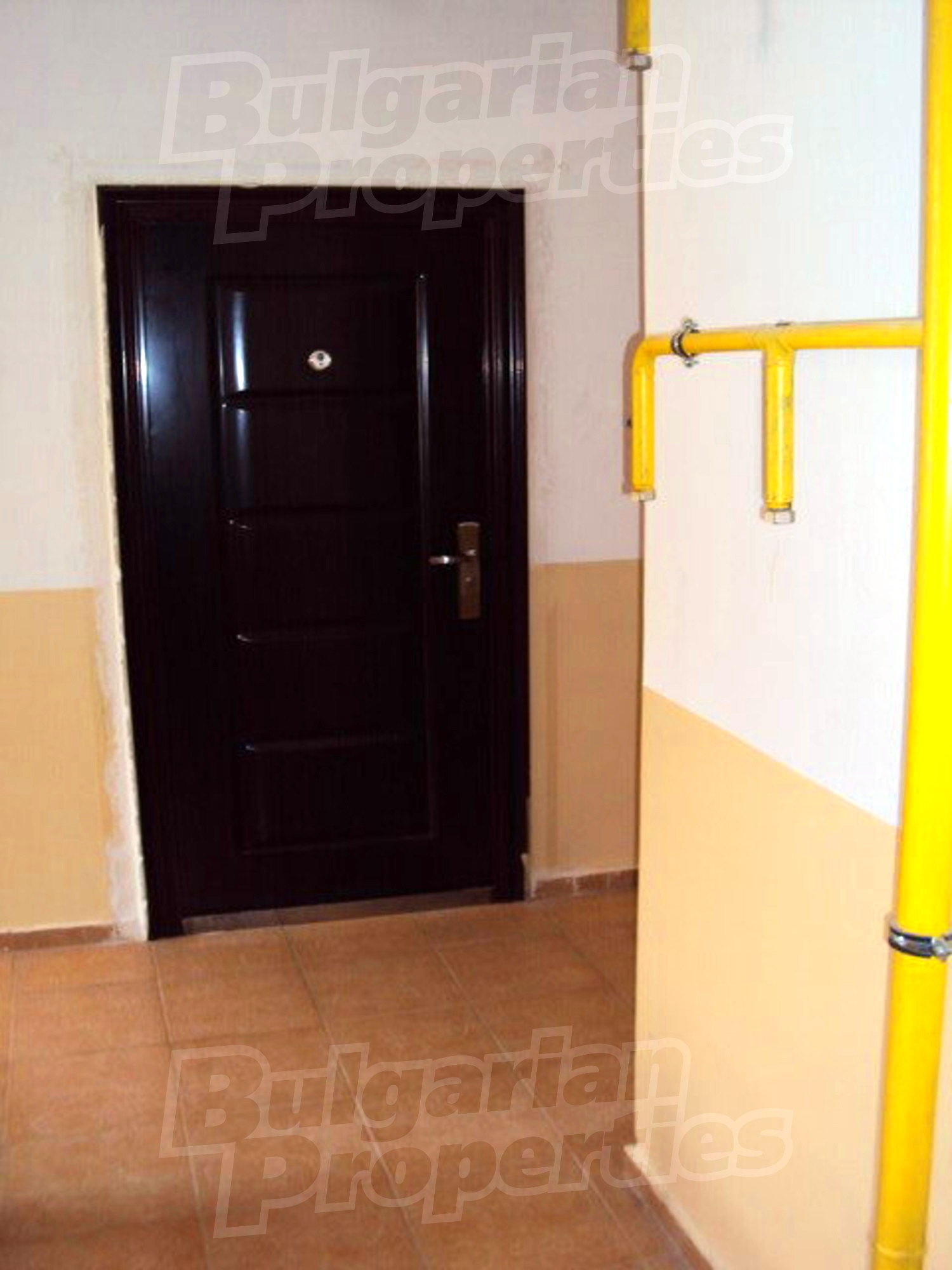 Gallery Picture 5