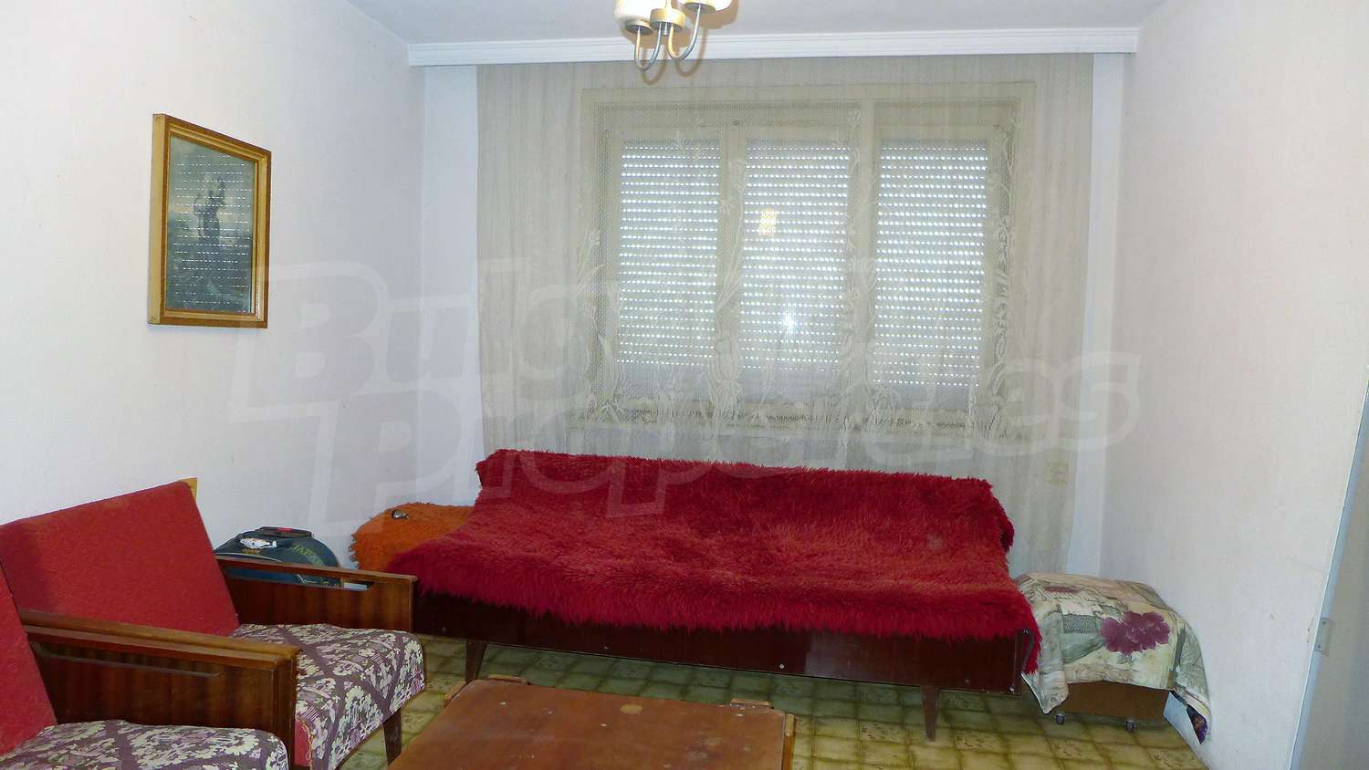 Gallery Picture 19