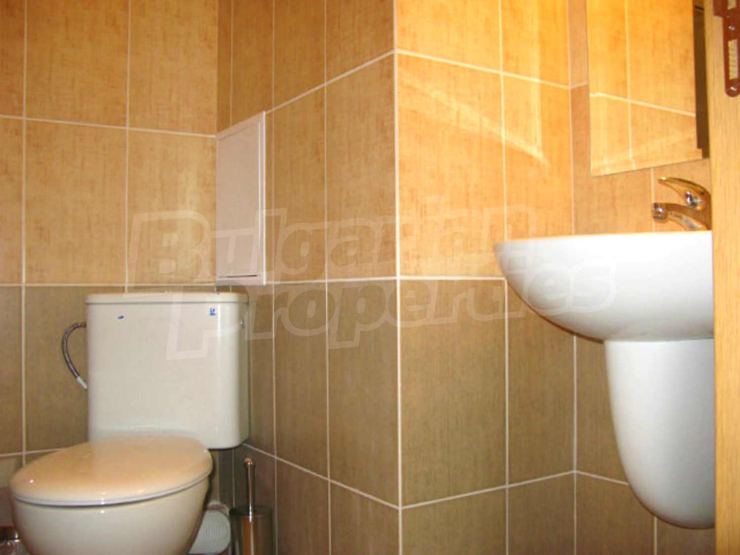 Gallery Picture 11