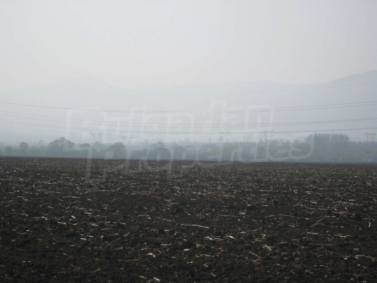 Gallery Picture 25