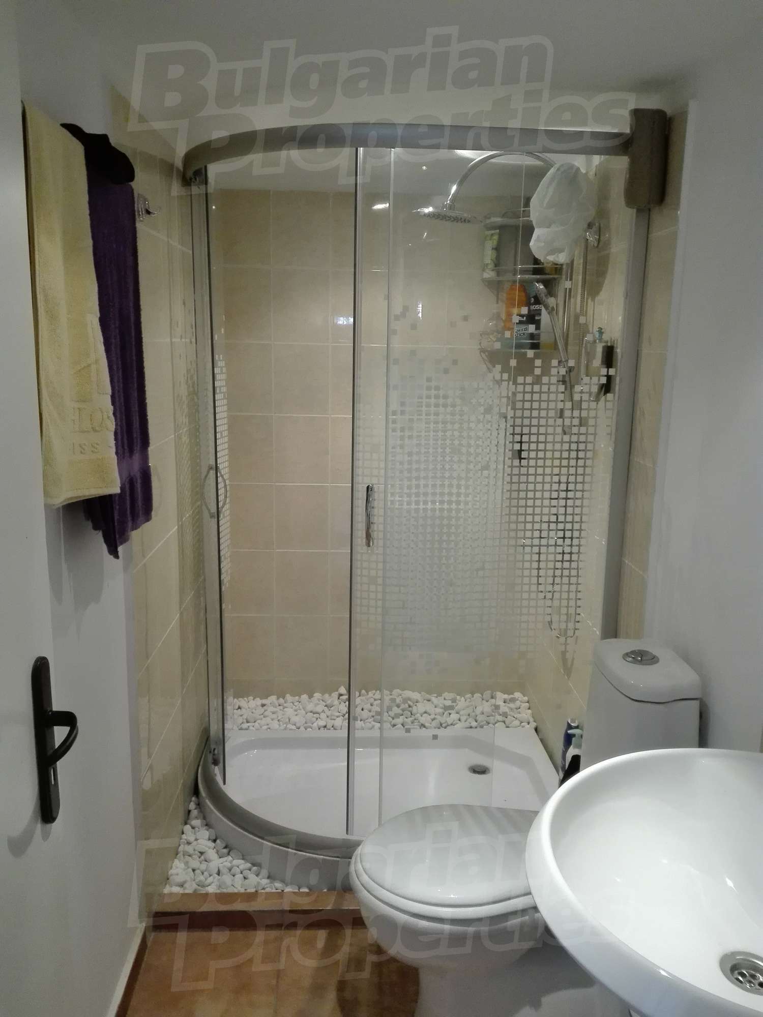 Gallery Picture 23