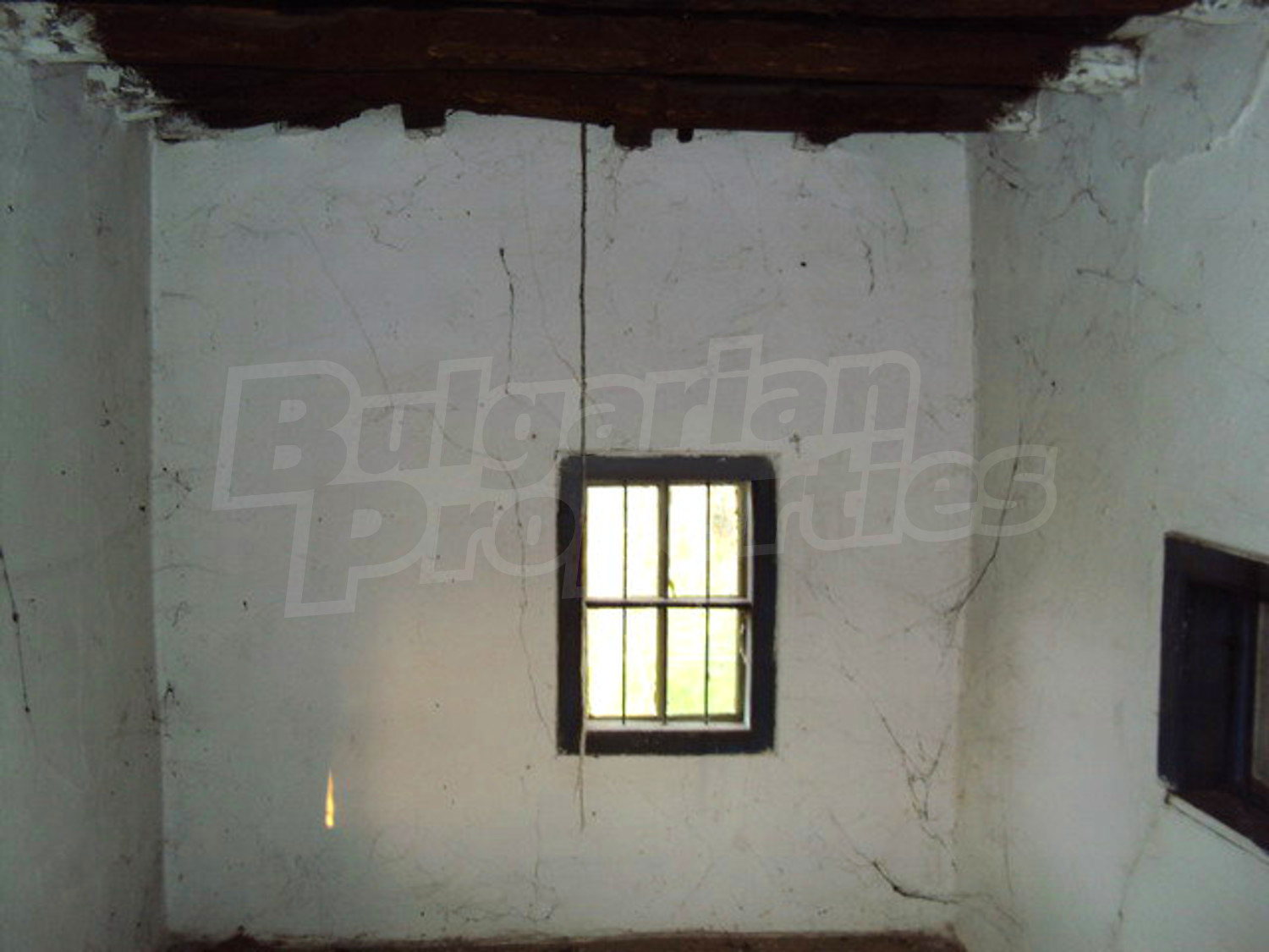 Gallery Picture 13