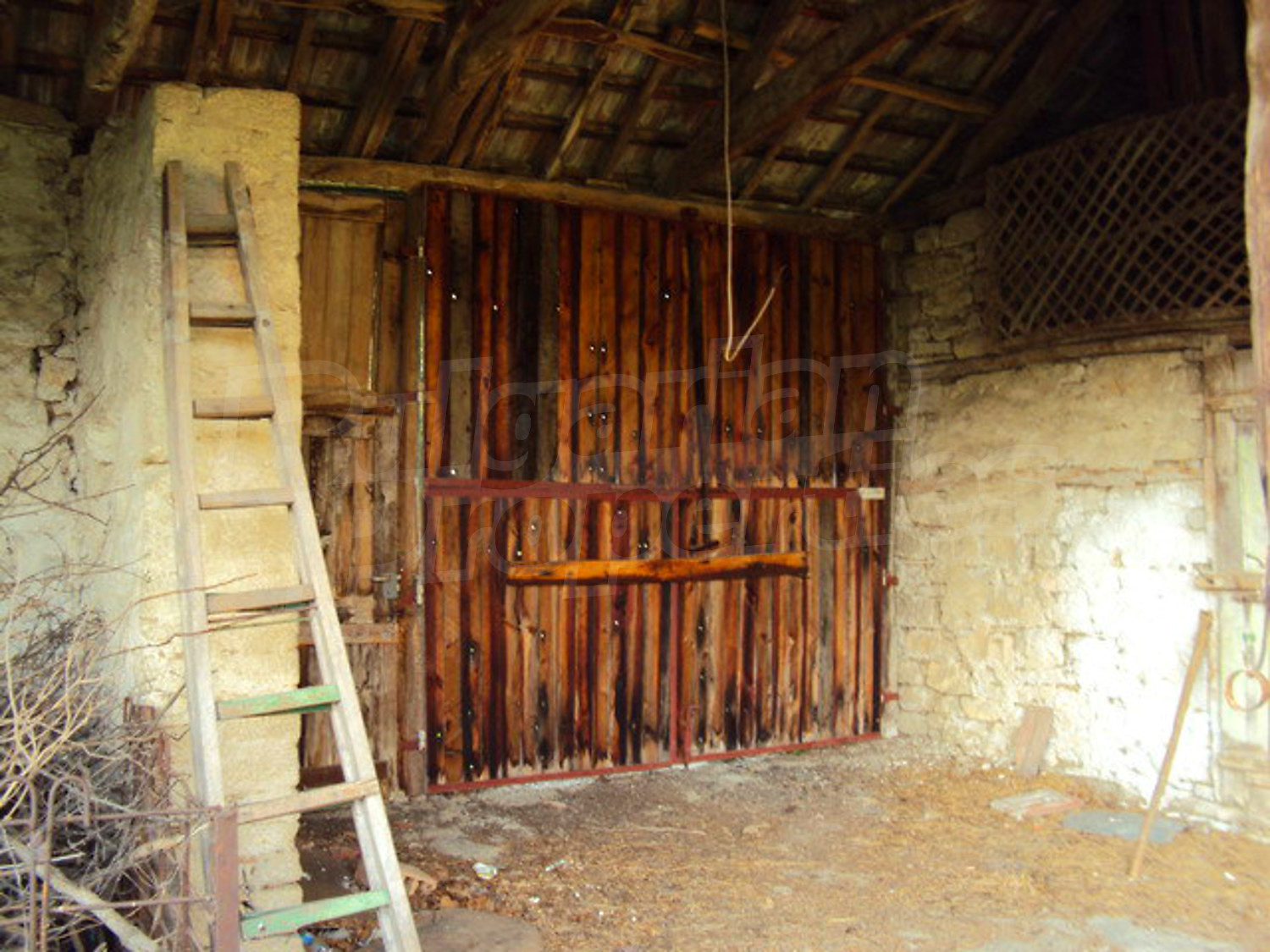 Gallery Picture 16