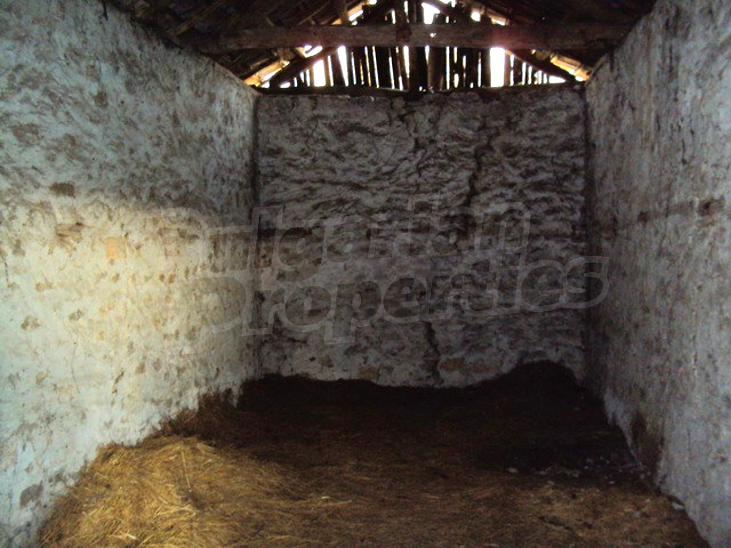 Gallery Picture 17