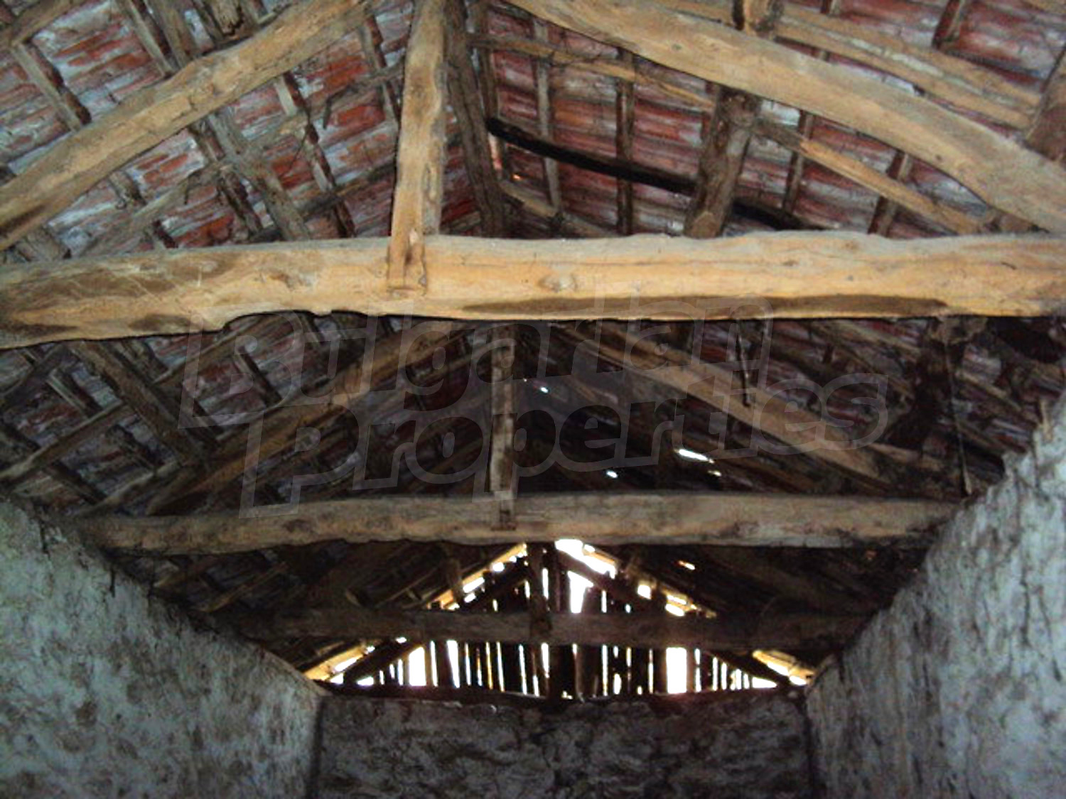 Gallery Picture 18