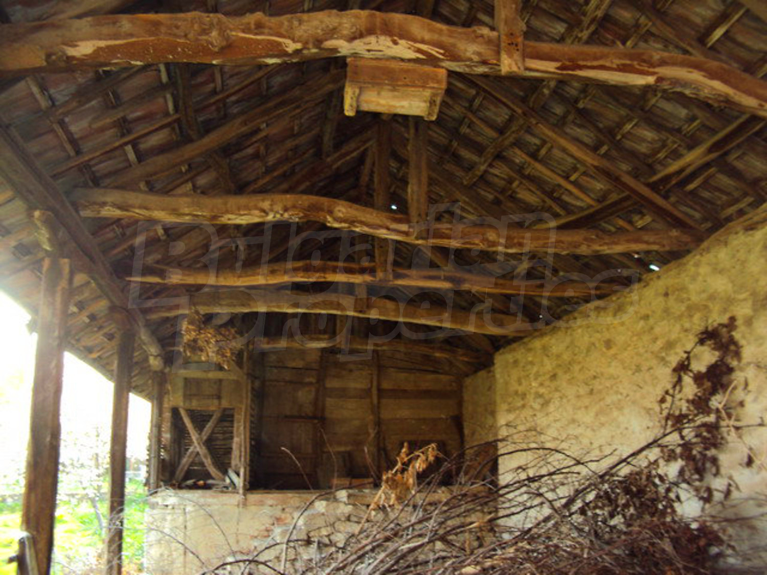 Gallery Picture 19