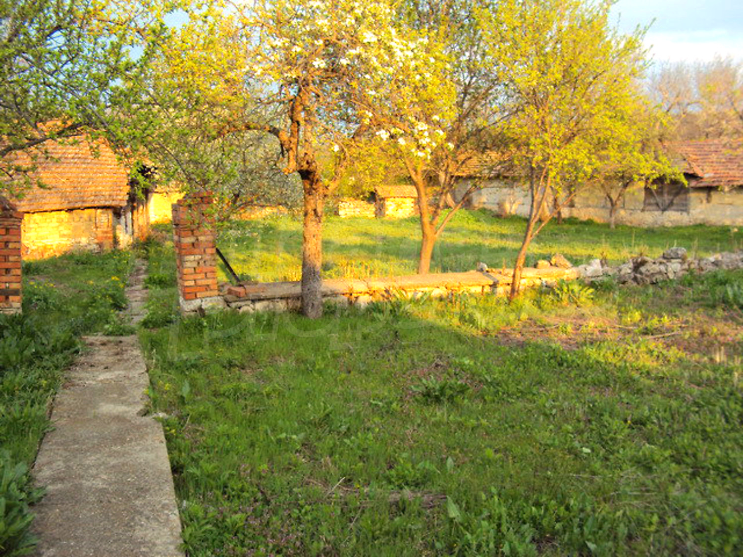 Gallery Picture 21