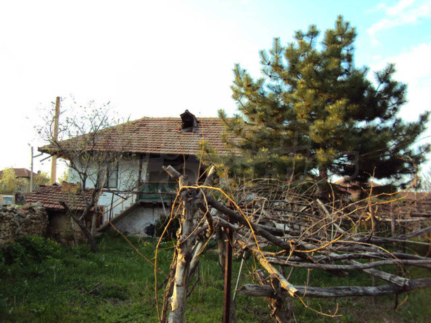 Gallery Picture 23