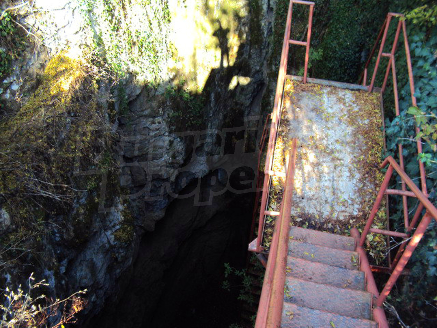 Gallery Picture 8