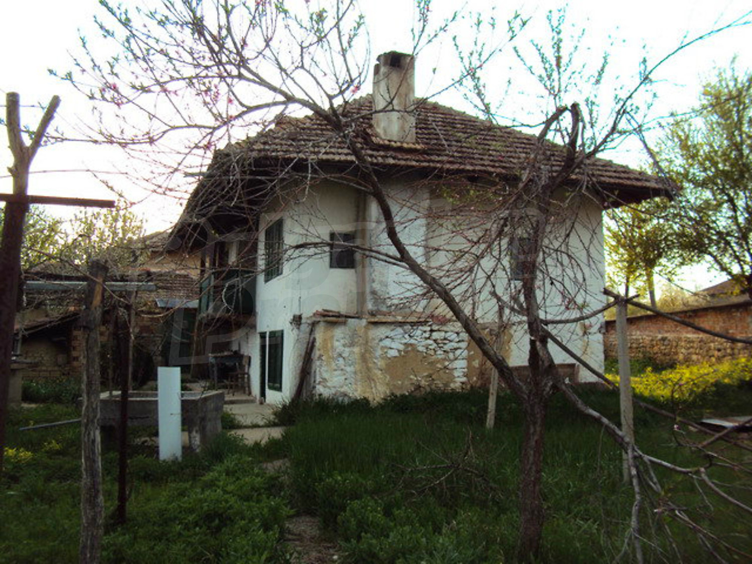 Gallery Picture 9