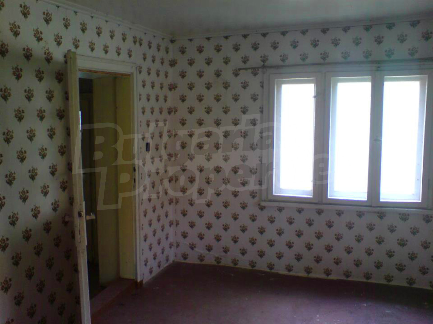 Gallery Picture 6