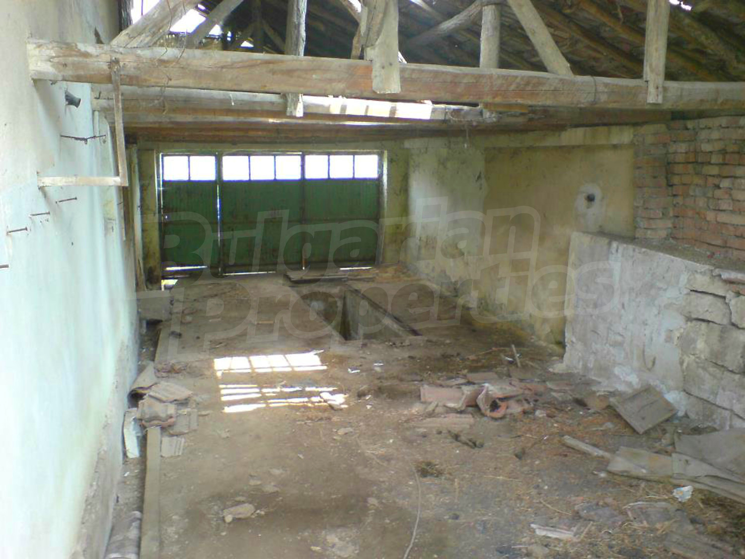 Gallery Picture 7