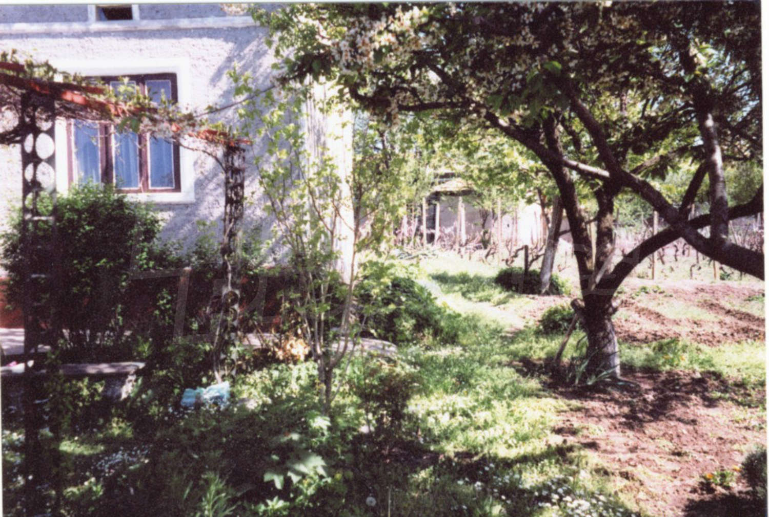 Gallery Picture 3