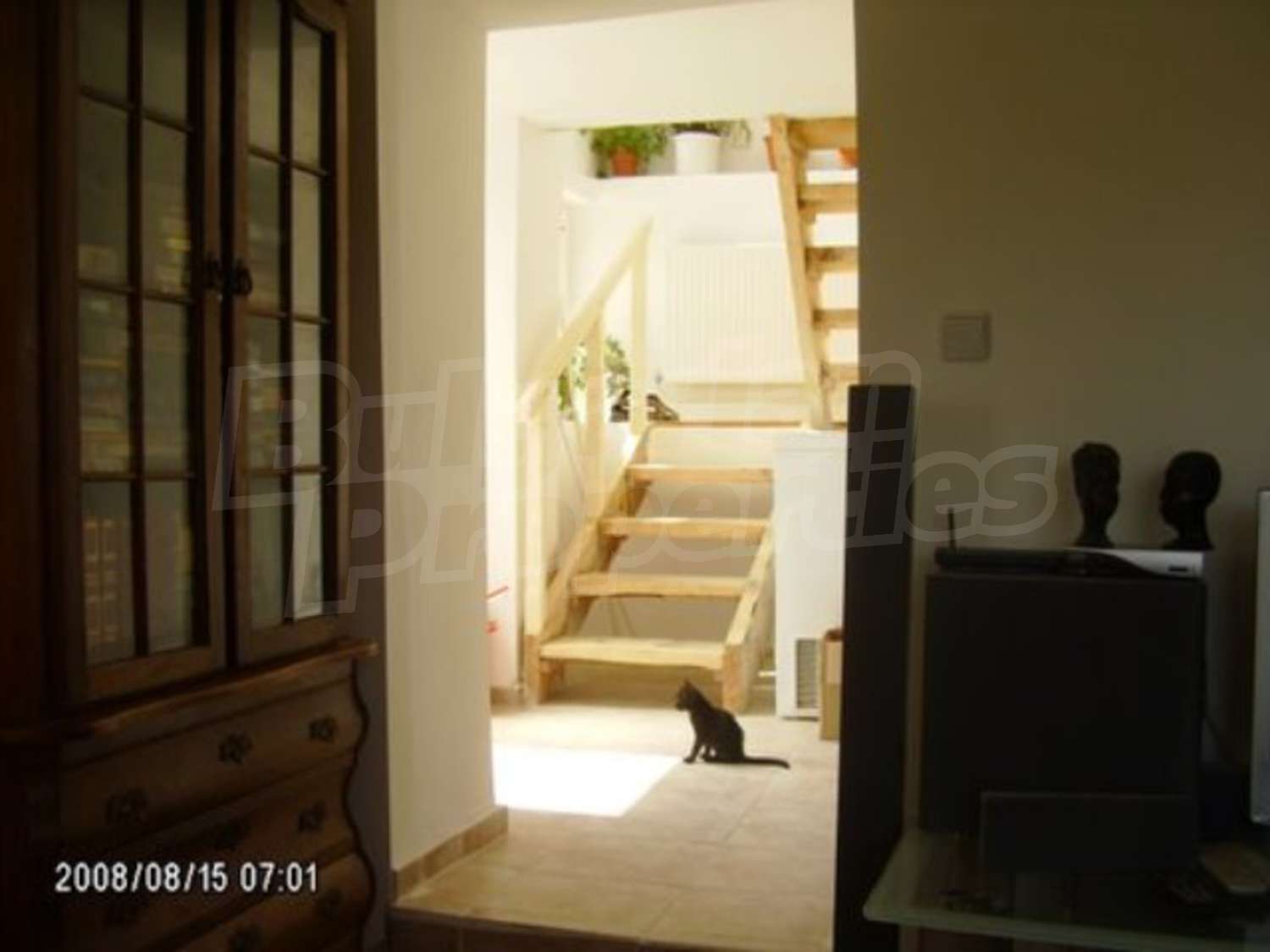 Gallery Picture 26