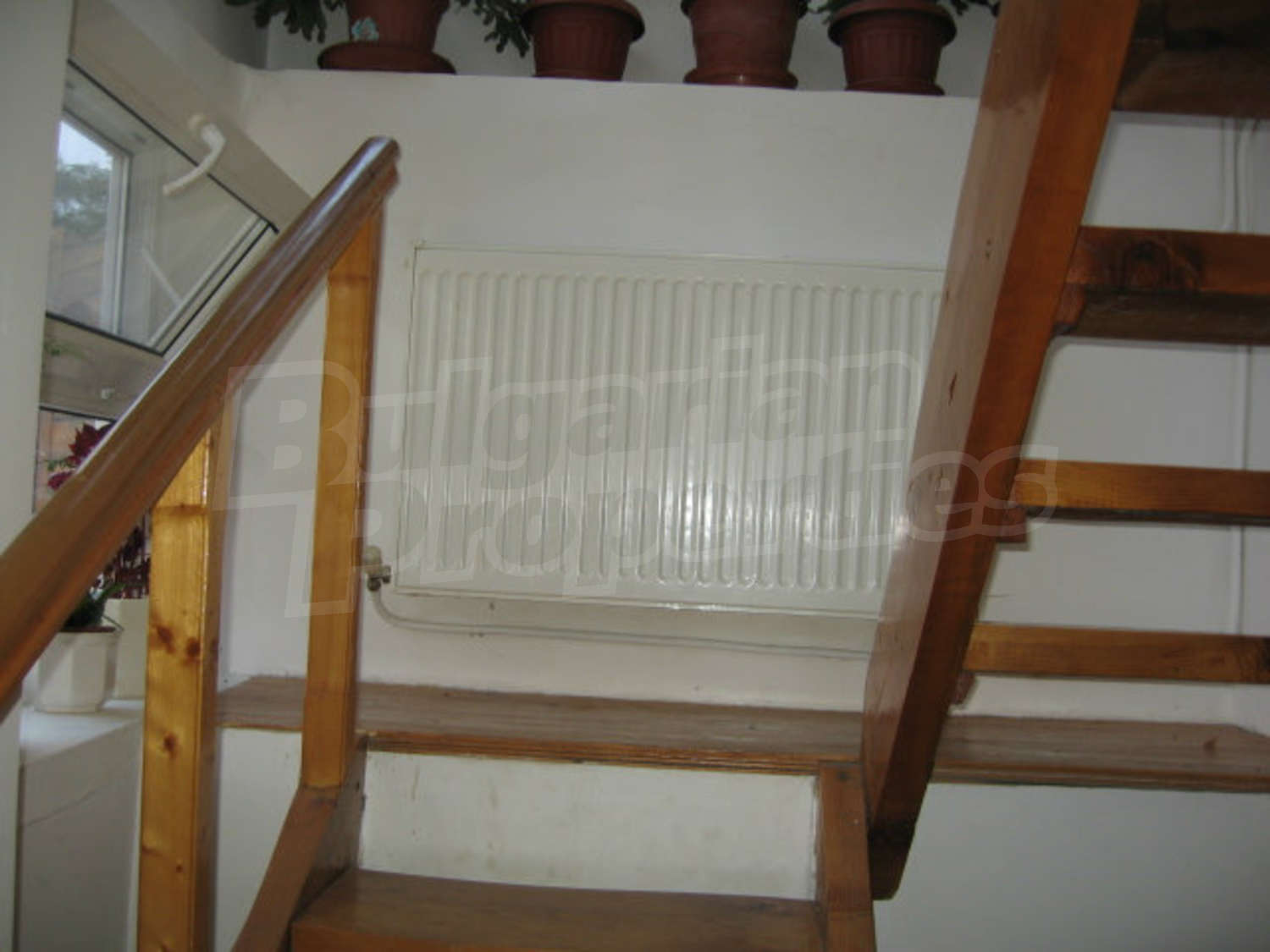 Gallery Picture 6