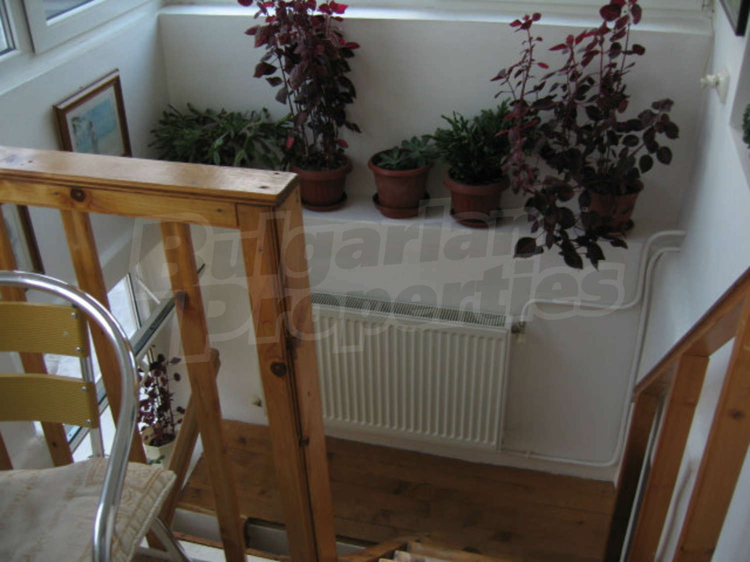 Gallery Picture 9