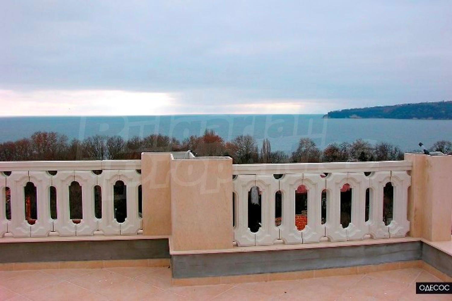 Gallery Picture 13