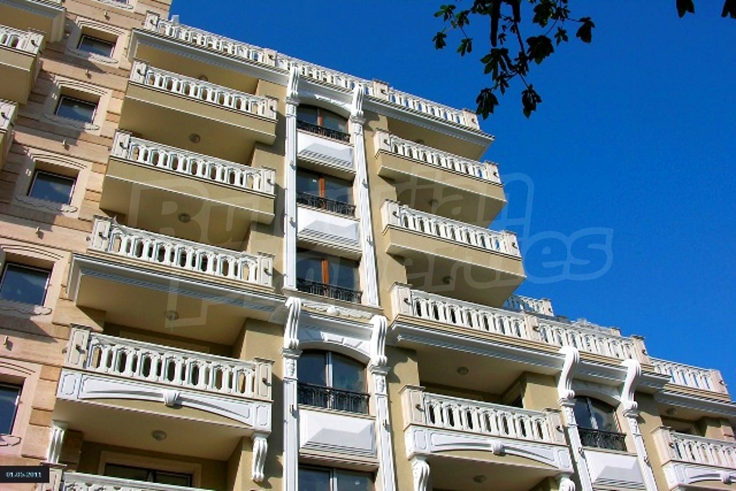 Gallery Picture 16
