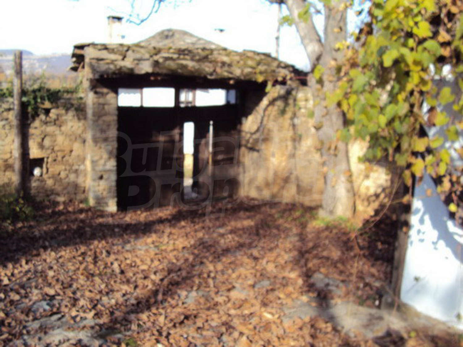 Gallery Picture 4