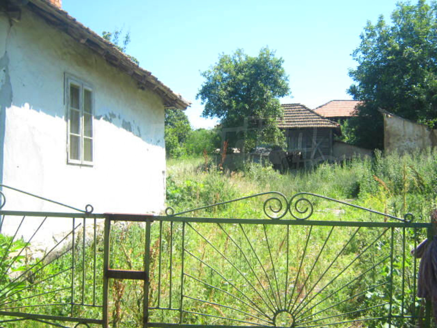 Gallery Picture 10